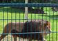 No el aherrumbrar soldó con autógena la malla 10m-30m de Mesh Zoo Animal Enclosure Wire del alambre de acero