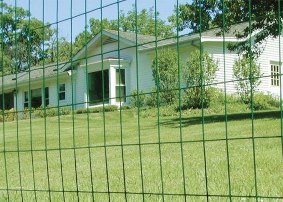 El verde cubrió el alambre Mesh Roll Welded Wire Mesh de 0.35mm-6m m que cercaba Rolls antienvejecedor