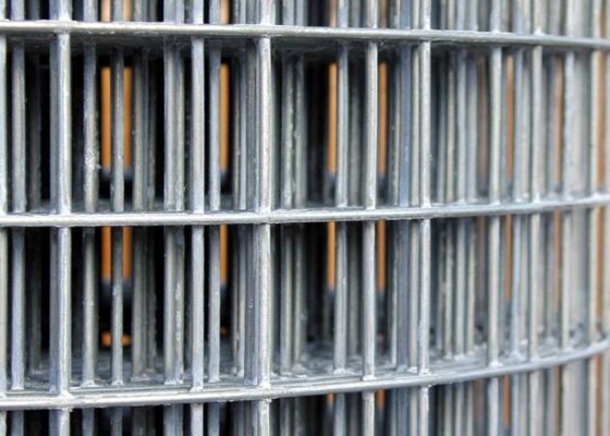 50X50 galvanizó el alambre soldado con autógena Mesh Rolls cerca de alambre de 6 pies Roll Abrasion Proof