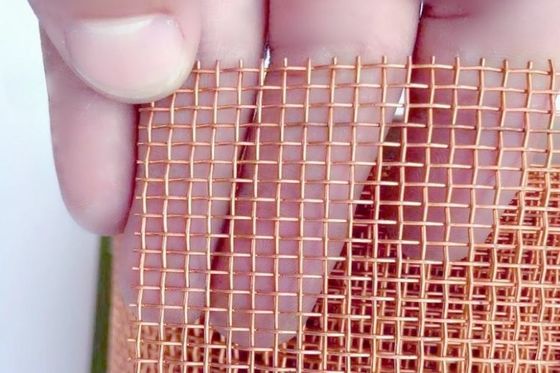 Alambre de alta resistencia y dureza tejido Mesh Screen Phosphor Bronze
