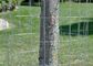 Apoyo de rodillo de alambre de cerca de 30 m para plantas