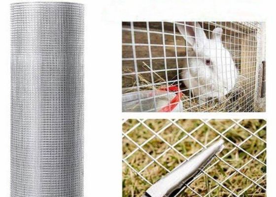 15m 20m 30m de acero inoxidable malla de alambre soldado utilizado como jaulas de aves de corral o cerca