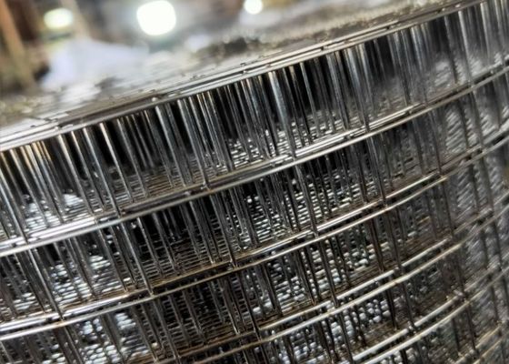 Rolos de malla soldada galvanizada verde para el refuerzo del hormigón
