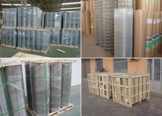 Rolos de malla soldada galvanizada y sumergida en caliente duraderos para jaulas de animales