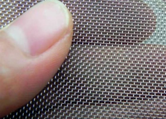 50 micrones de tamaño de alambre regular Filtro de malla de alambre en 30m de longitud para versátil
