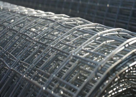 alambre soldado con autógena galvanizado sumergido caliente Mesh Animal Cage Wire Mesh de 1mm-3m m a prueba de herrumbre