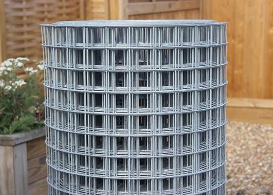 50X50 galvanizó el alambre soldado con autógena Mesh Rolls cerca de alambre de 6 pies Roll Abrasion Proof
