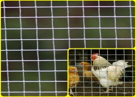 El 1/2 ' X el 1/2” Mesh Rolls For Breeding Protection soldado con autógena de acero inoxidable de alta resistencia