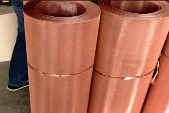 Alambre de alta resistencia y dureza tejido Mesh Screen Phosphor Bronze